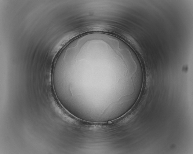 X0000110680938200906261318