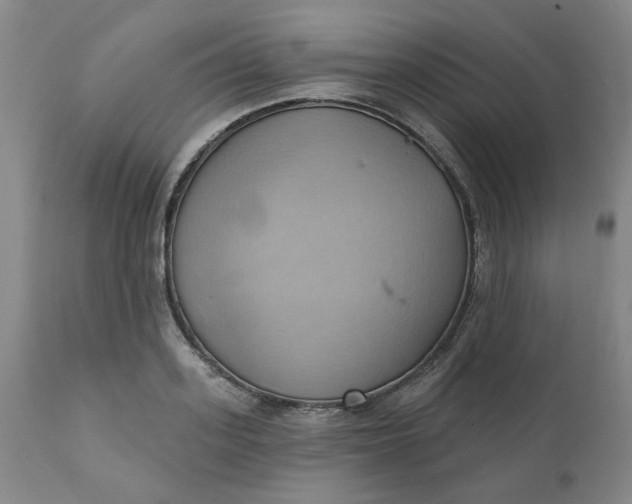 X0000110680939200906261318