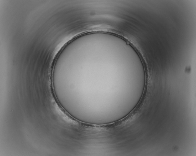 X0000110680941200906261318