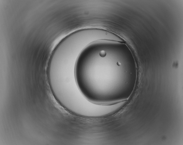 X0000110680944200906261318