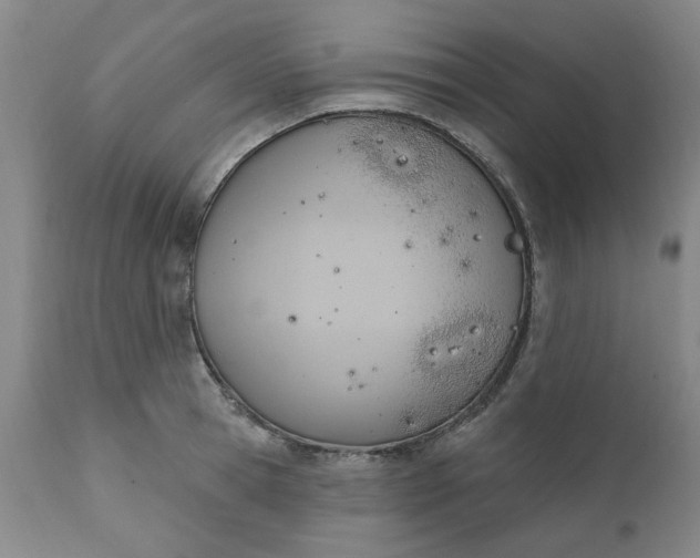 X0000110680945200906261318