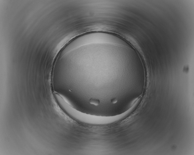 X0000110680946200906261318