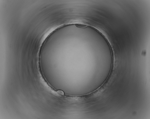 X0000110680949200906261318