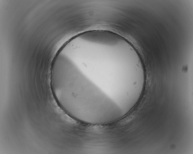 X0000110680950200906261318