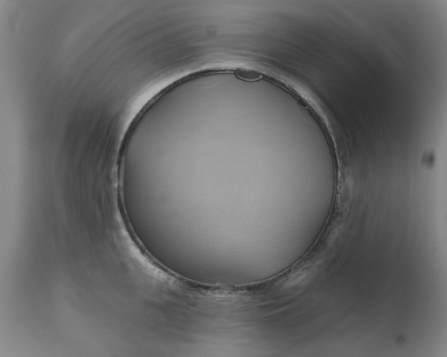 X0000110680951200906261318