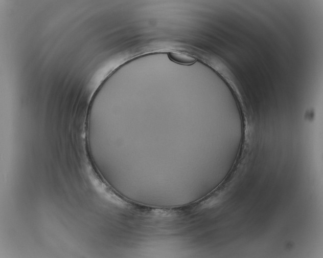 X0000110680954200906261318