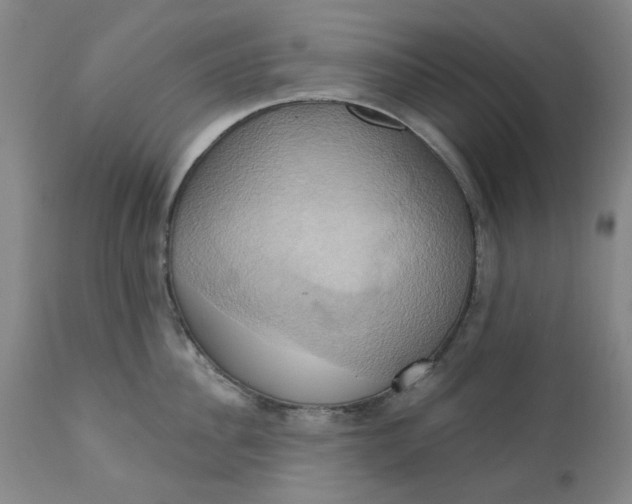 X0000110680956200906261318