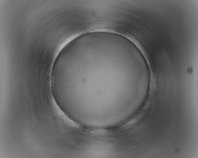 X0000110680957200906261318