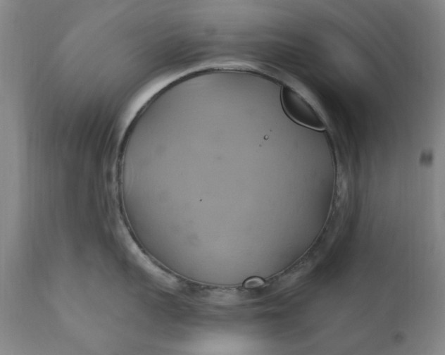 X0000110680959200906261318