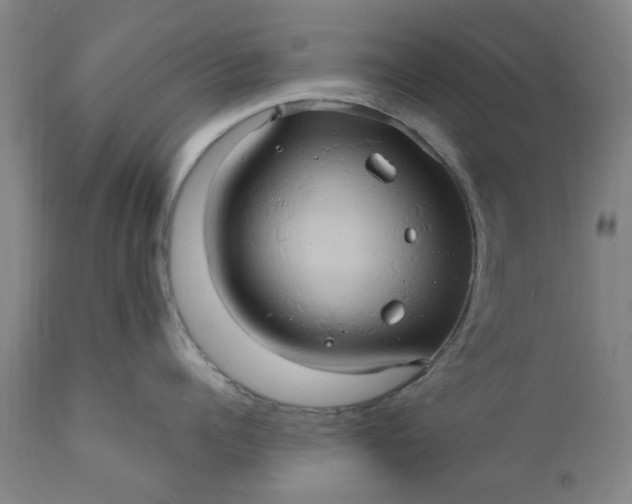 X0000110680960200906261318