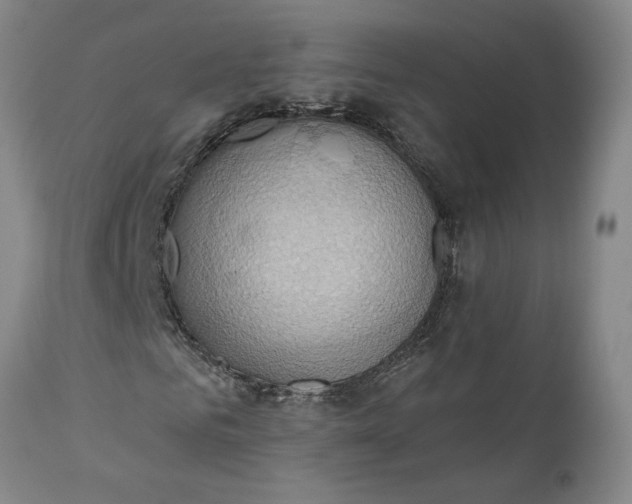 X0000110680961200906261317