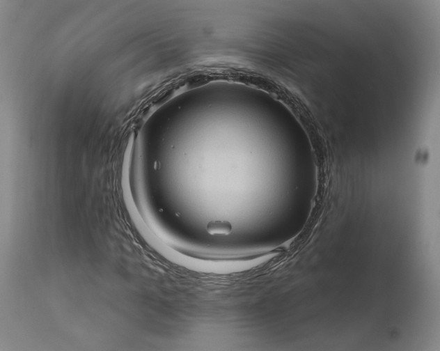 X0000110680965200906261317