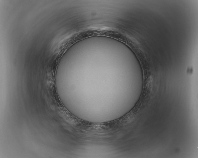 X0000110680966200906261317