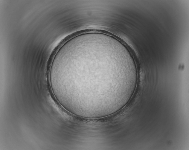 X0000110680972200906261317