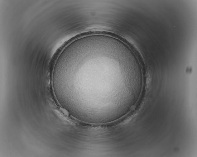 X0000110680973200906261317