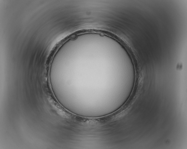 X0000110680974200906261317