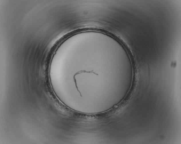 X0000110680975200906261317