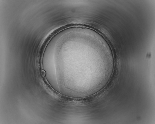 X0000110680976200906261317