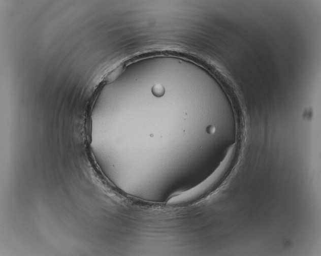 X0000110680977200906261317