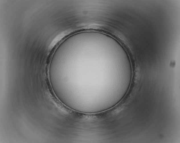 X0000110680978200906261317