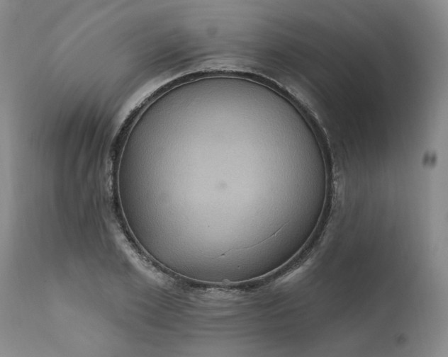 X0000110680981200906261317