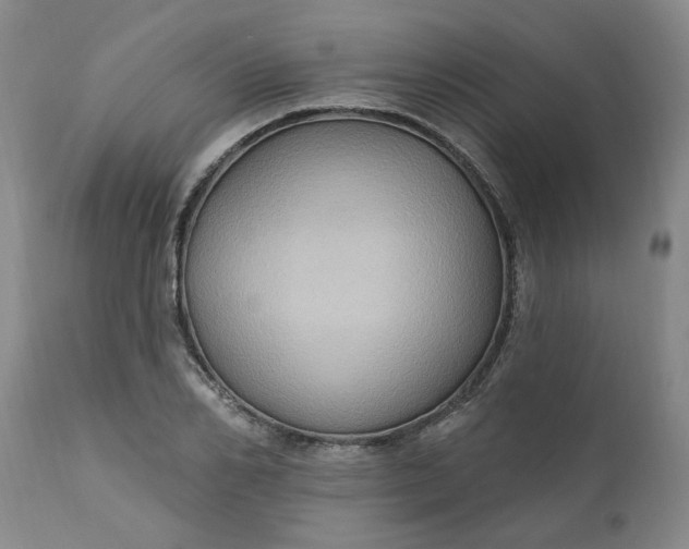 X0000110680982200906261317