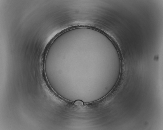 X0000110680983200906261317