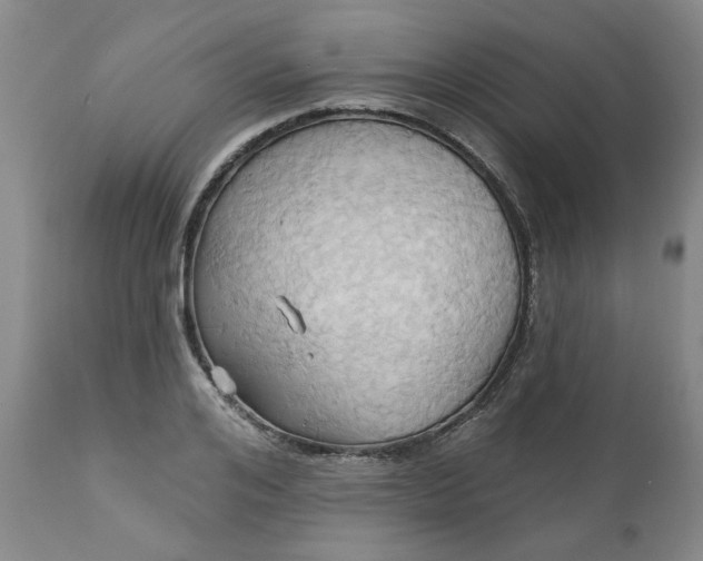 X0000110680984200906261317