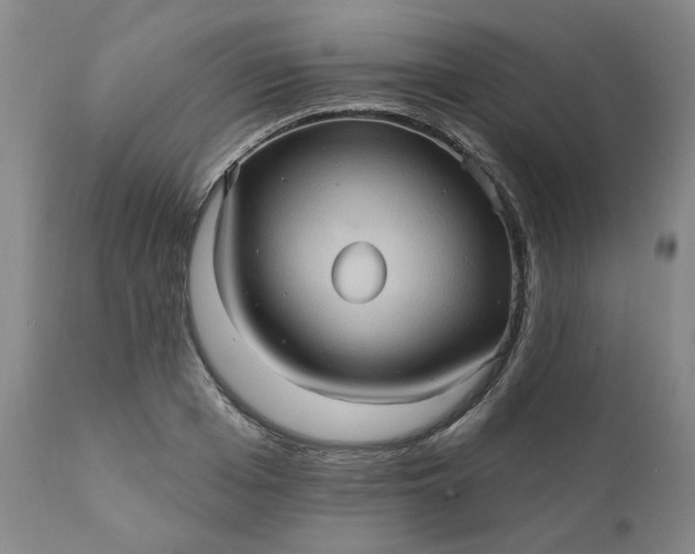 X0000110680985200906261317