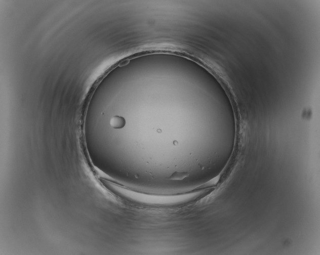 X0000110680989200906261317