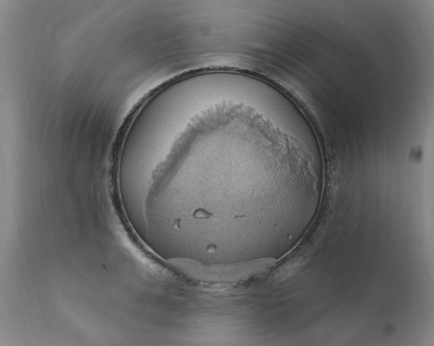 X0000110680991200906261317