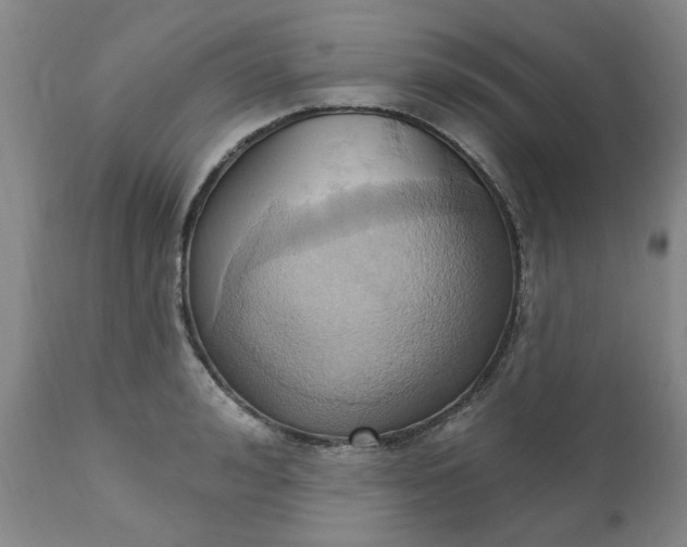 X0000110680992200906261317