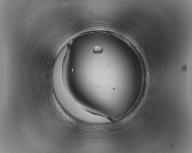 X0000110680993200906261317