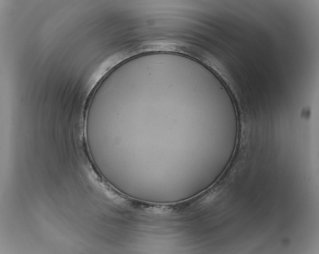 X0000110680994200906261317