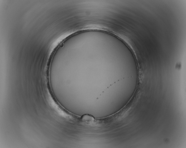 X0000110680995200906261317