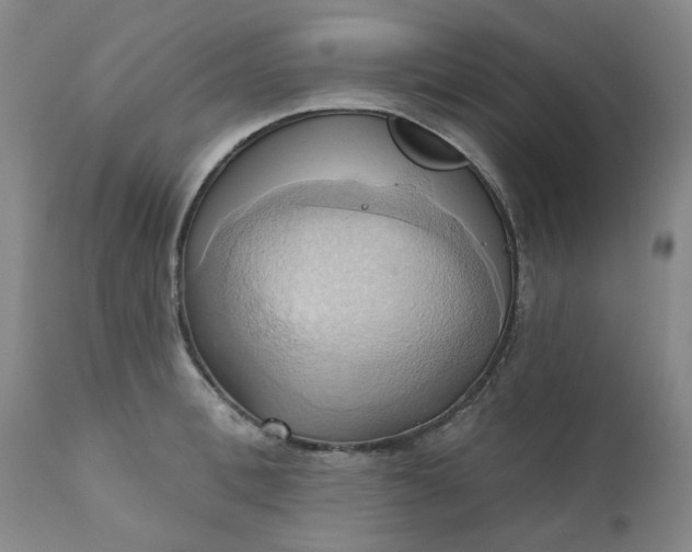 X0000110680996200906261317