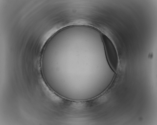 X0000110680997200906261317