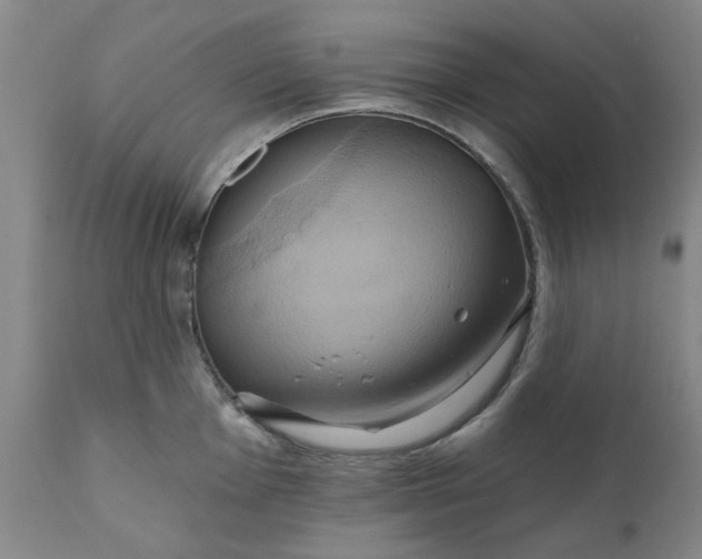 X0000110681001200906261317