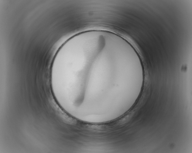 X0000110681004200906261317