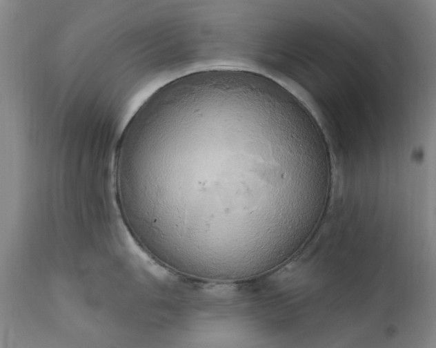 X0000110681006200906261317