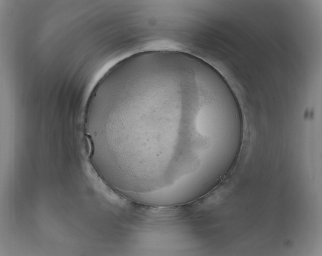 X0000110681008200906261317