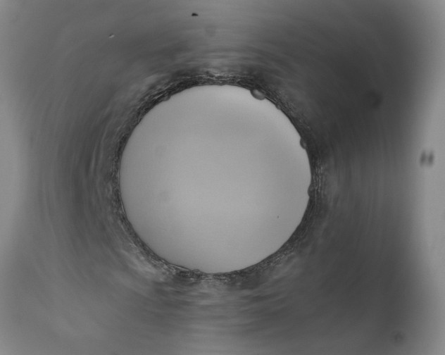 X0000110681009200906261316