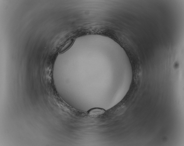 X0000110681010200906261316