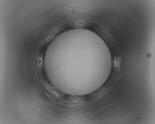 X0000110681011200906261316