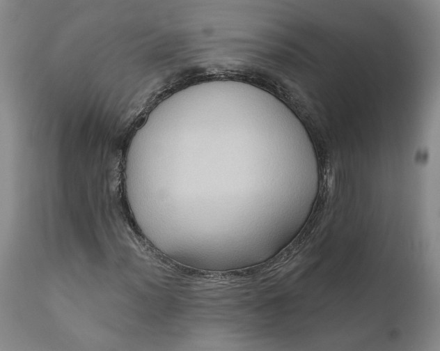 X0000110681012200906261316