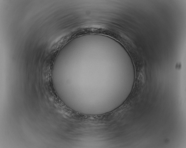 X0000110681014200906261316