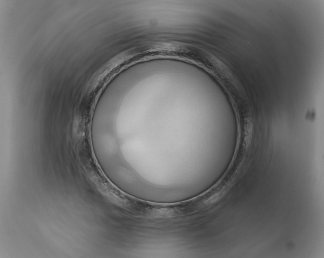 X0000110681017200906261316