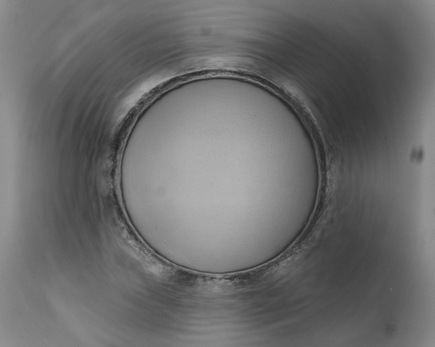 X0000110681019200906261316