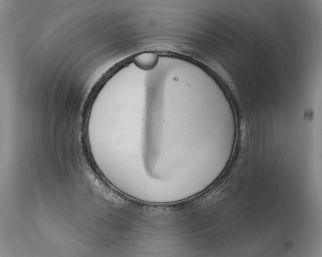 X0000110681020200906261316