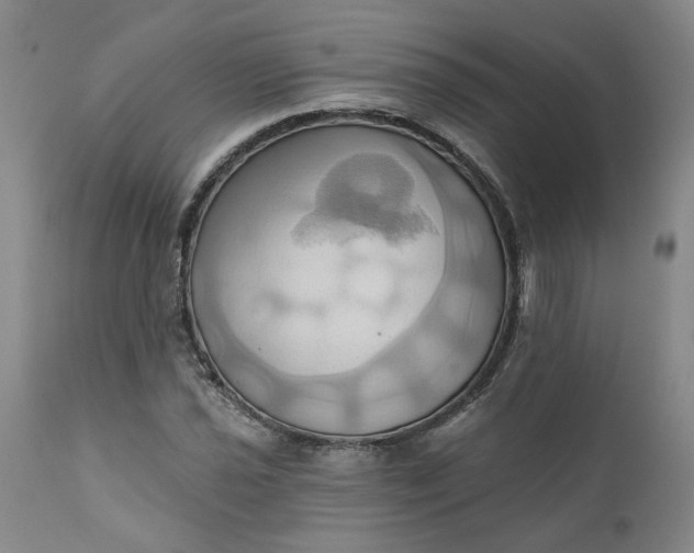 X0000110681021200906261316